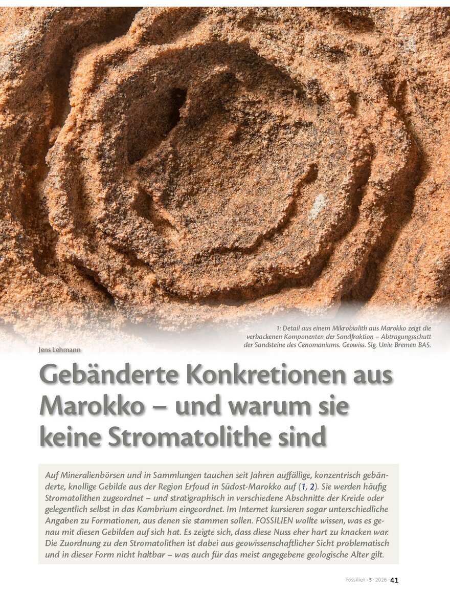 Auf diesem Bild sehen Sie das Produktbild 1 f�r GEB�NDERTE KONKRETIONEN AUS MAROKKO - UND WARUM SIE KEINE STROMATOLITHE SIND