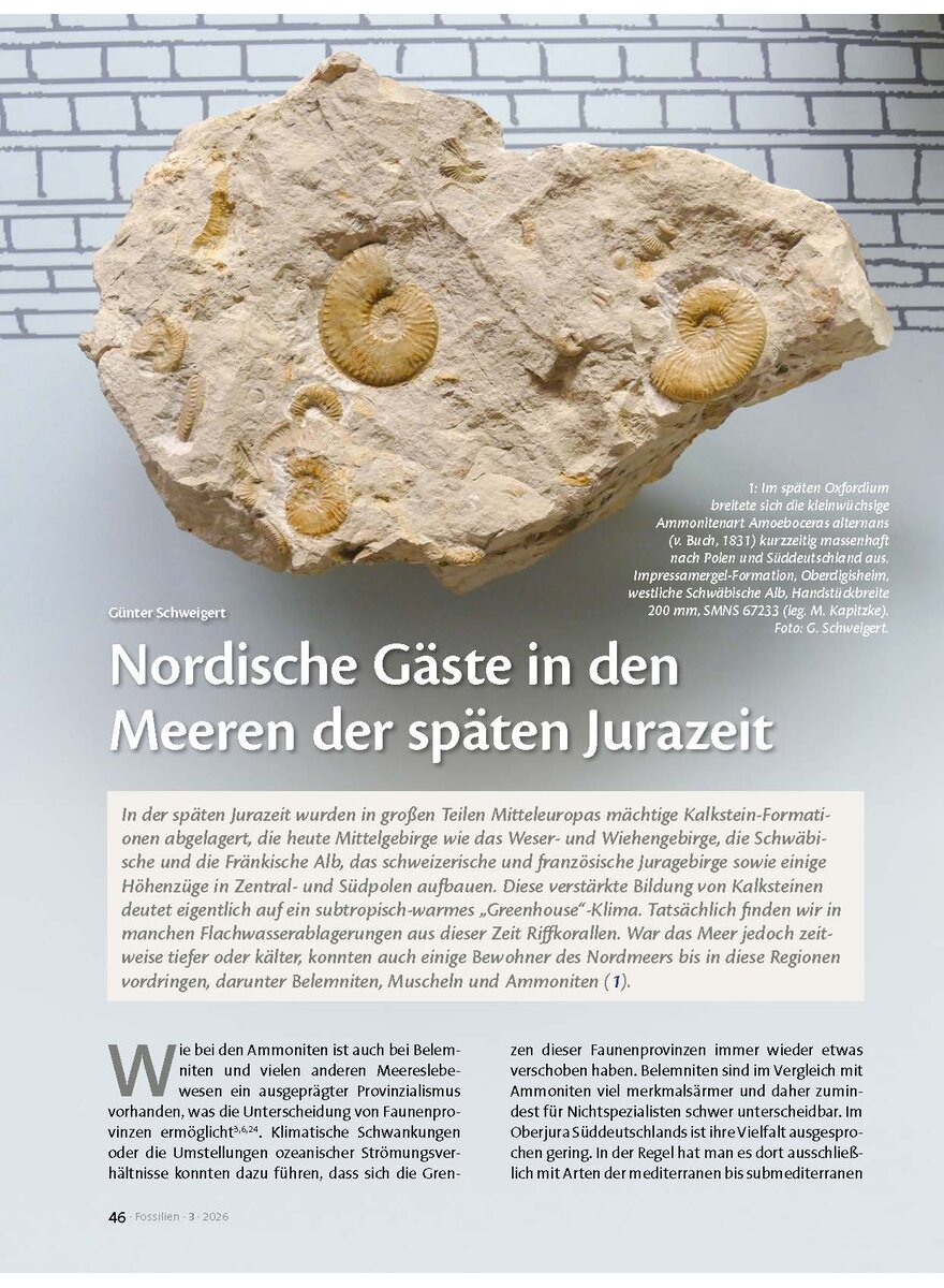 Auf diesem Bild sehen Sie das Produktbild 1 f�r NORDISCHE G�STE IN DEN MEEREN DER SP�TEN JURA