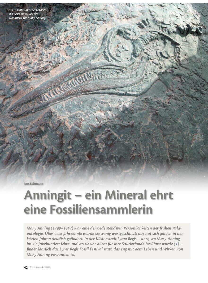 Auf diesem Bild sehen Sie das Produktbild 1 f�r ANNINGIT - EIN MINERAL EHRT EINE FOSSILIENSAMMLERIN