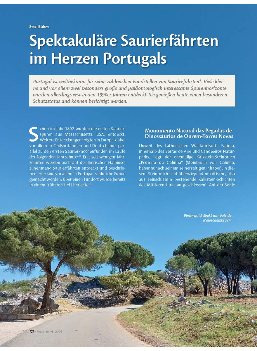 Auf diesem Bild sehen Sie das Produktbild 1 f�r SPEKTAKUL�RE SAURIER- F�HRTEN IM HERZEN PORTUGALS