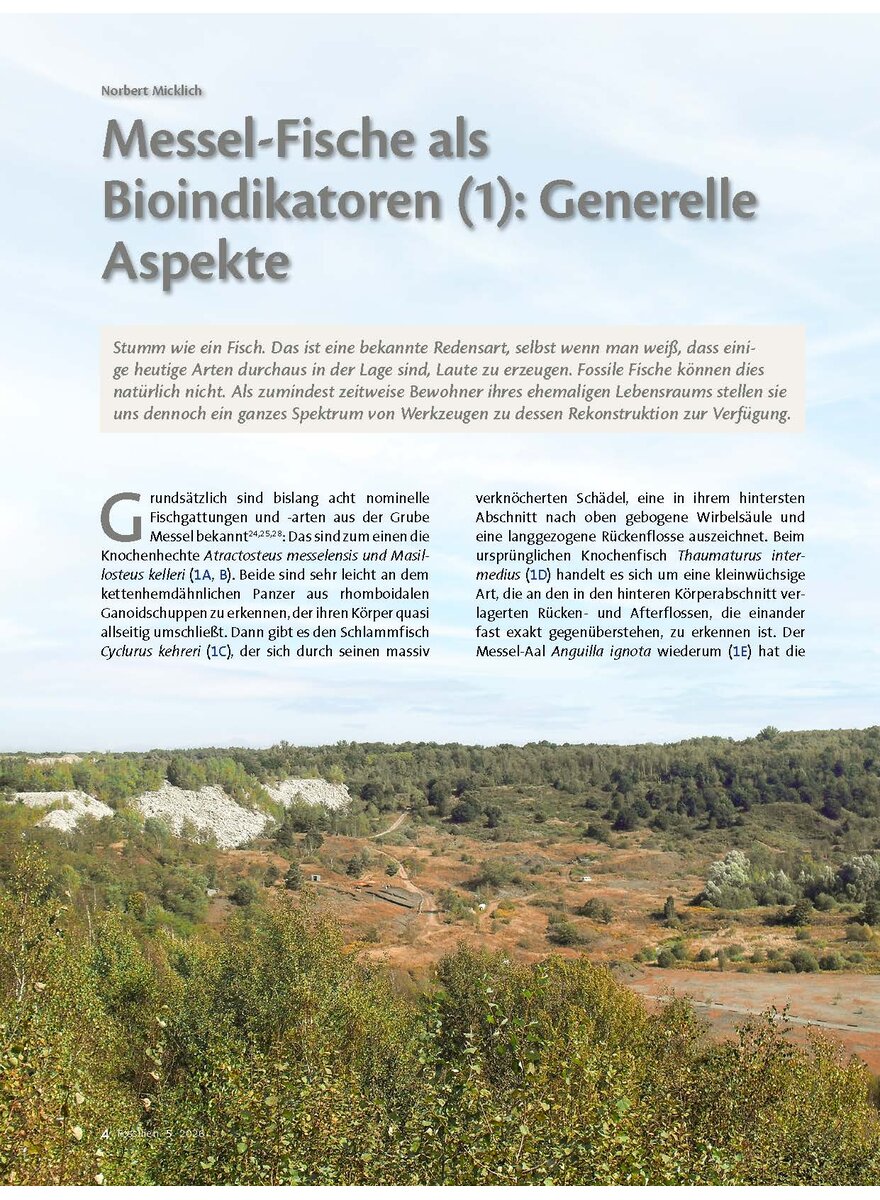 Auf diesem Bild sehen Sie das Produktbild 1 f�r MESSEL-FISCHE ALS BIOINDI- KATOREN (1): GENERELLE ASPEKTE