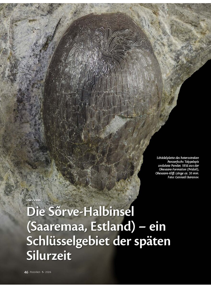 Auf diesem Bild sehen Sie das Produktbild 1 f�r DIE S�RVE-HALBINSEL (SAAREMAA ESTLAND) - EIN SCHL�SSELGEBIET DER SP�TEN SILURZEIT