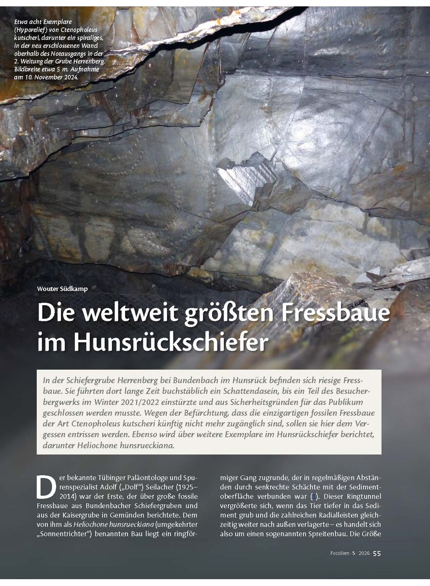 Auf diesem Bild sehen Sie das Produktbild 1 f�r DIE WELTWEIT GR�SSTEN FRESS- BAUE IM HUNSR�CKSCHIEFER