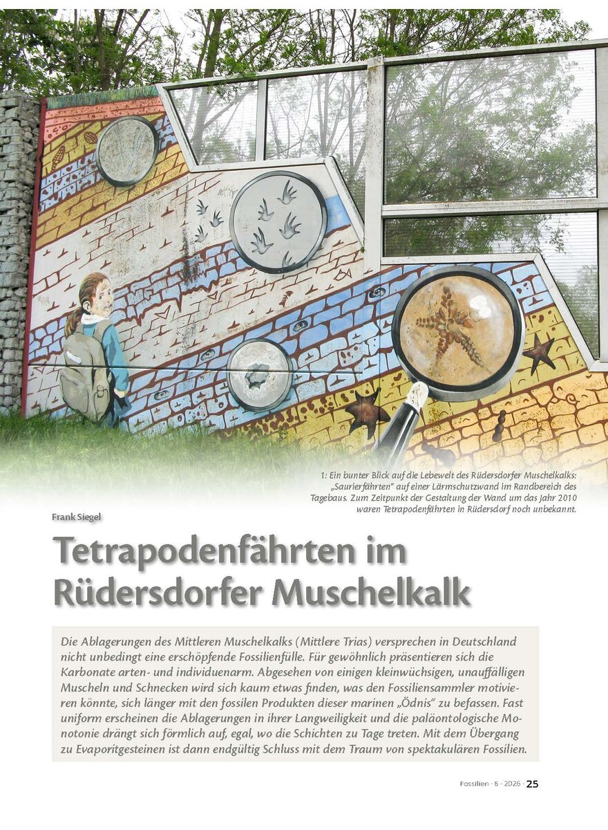 Auf diesem Bild sehen Sie das Produktbild 1 f�r TETRAPODENF�HRTEN IM R�DERSDORFER MUSCHELKALK