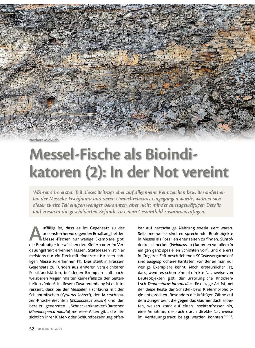 Auf diesem Bild sehen Sie das Produktbild 1 f�r MESSEL-FISCHE ALS BIOINDI- KATOREN (2): IN DER NOT VEREINT