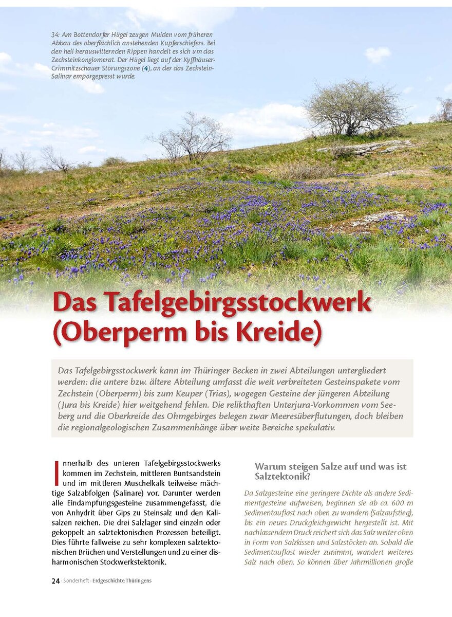 Auf diesem Bild sehen Sie das Produktbild 1 fr DAS TAFELGEBIRGSSTOCKWERK (OBERPERM BIS KREIDE)