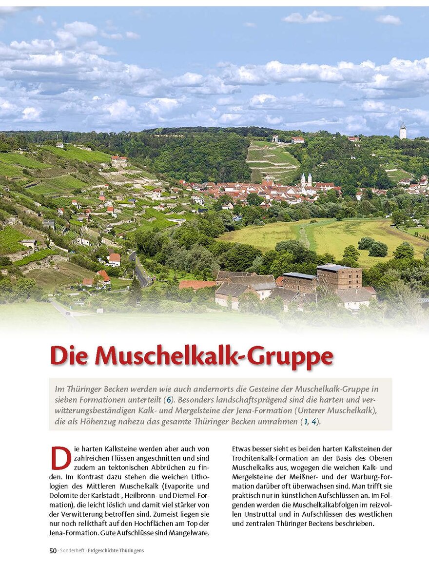 Auf diesem Bild sehen Sie das Produktbild 1 fr DIE MUSCHELKALK-GRUPPE