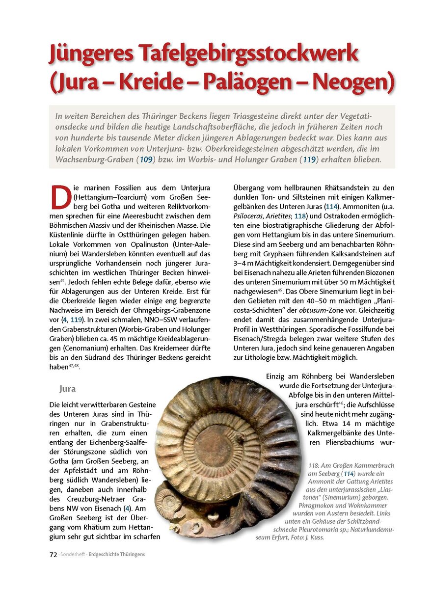 Auf diesem Bild sehen Sie das Produktbild 1 fr JNGERES TAFELGEBIRGSSTOCKWERK (JURA-KREIDE-PALOGEN-NEOGEN)