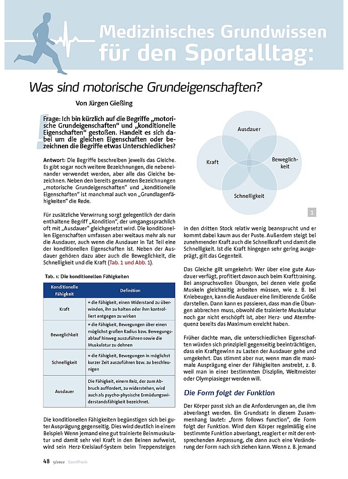 MEDIZINISCHES GRUNDWISSEN WAS SIND MOTORISCHE GRUNDEIGENSCHAFTEN?