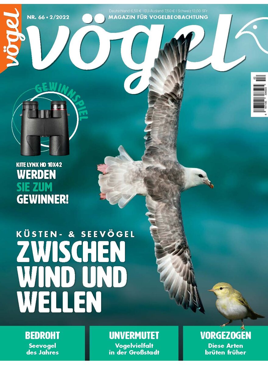 Auf diesem Bild sehen Sie das Produktbild 1 fr VGEL AUSGABE 2-2022