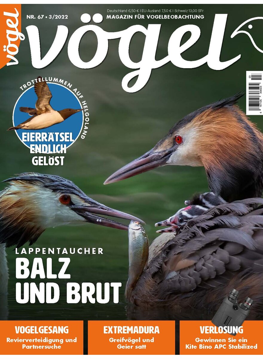 Auf diesem Bild sehen Sie das Produktbild 1 fr VGEL AUSGABE 3-2022