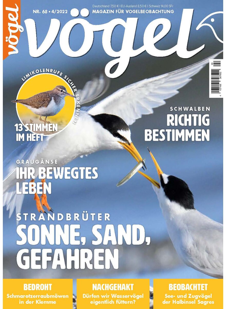 Auf diesem Bild sehen Sie das Produktbild 1 fr VGEL AUSGABE 4-2022