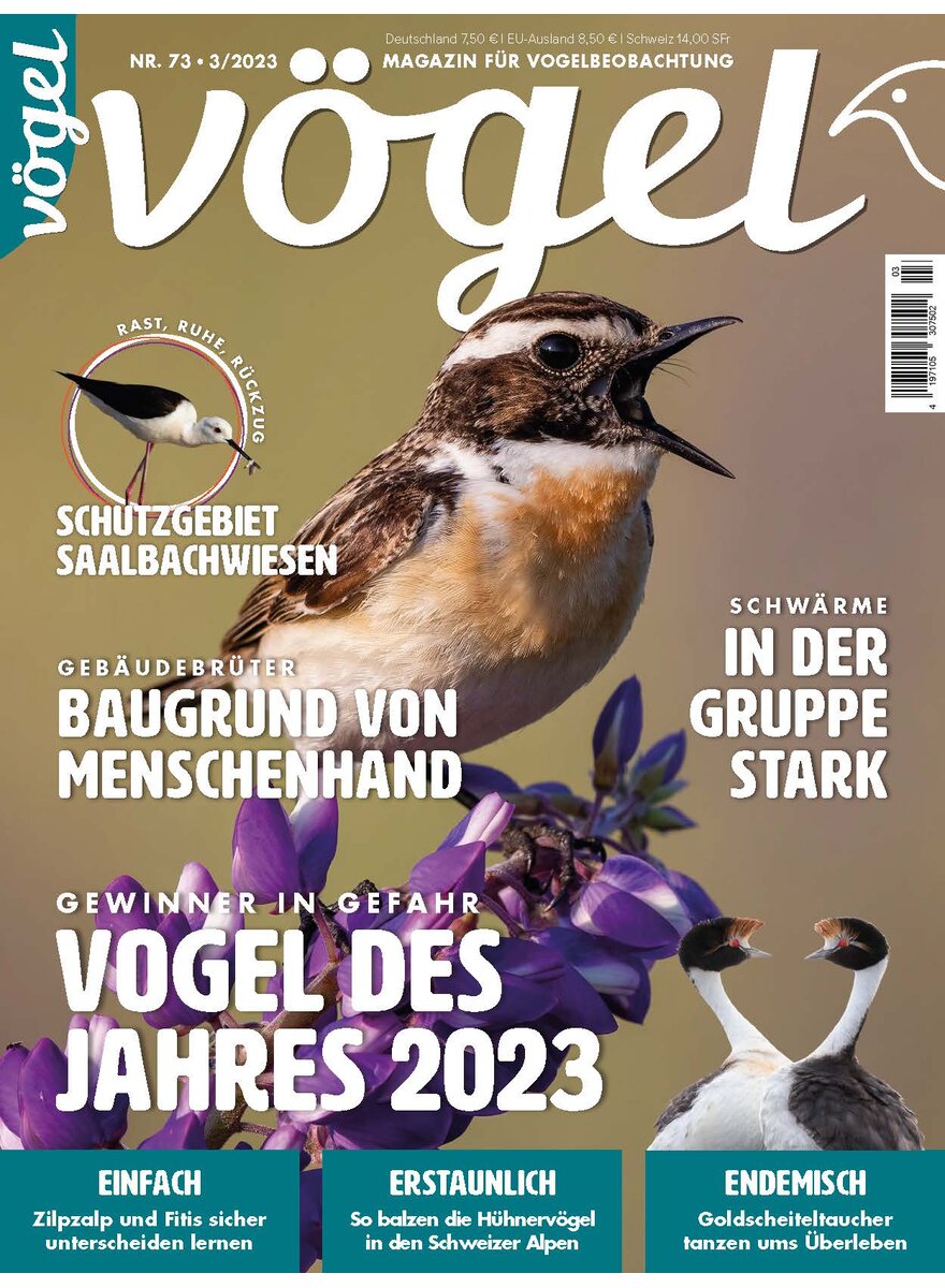 Auf diesem Bild sehen Sie das Produktbild 1 fr VGEL AUSGABE 3-2023