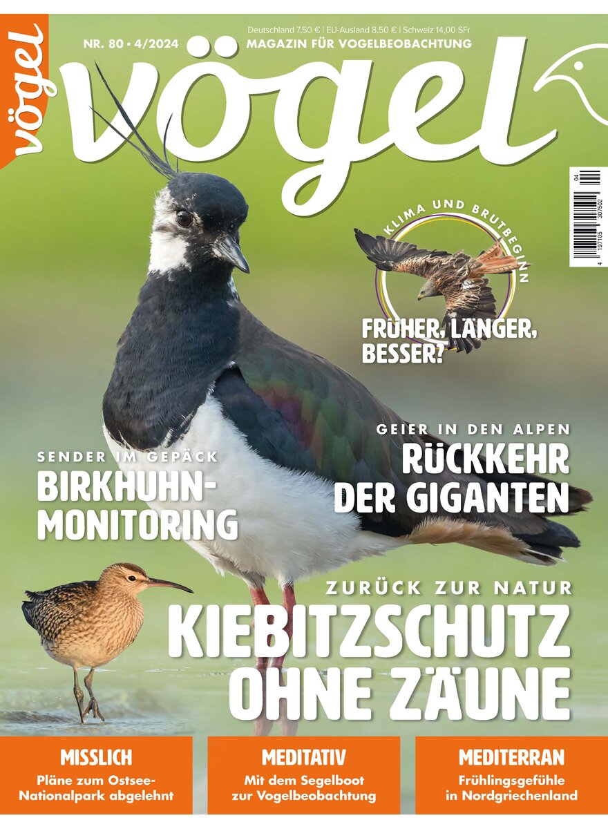 Auf diesem Bild sehen Sie das Produktbild 1 fr VGEL AUSGABE 4-2024