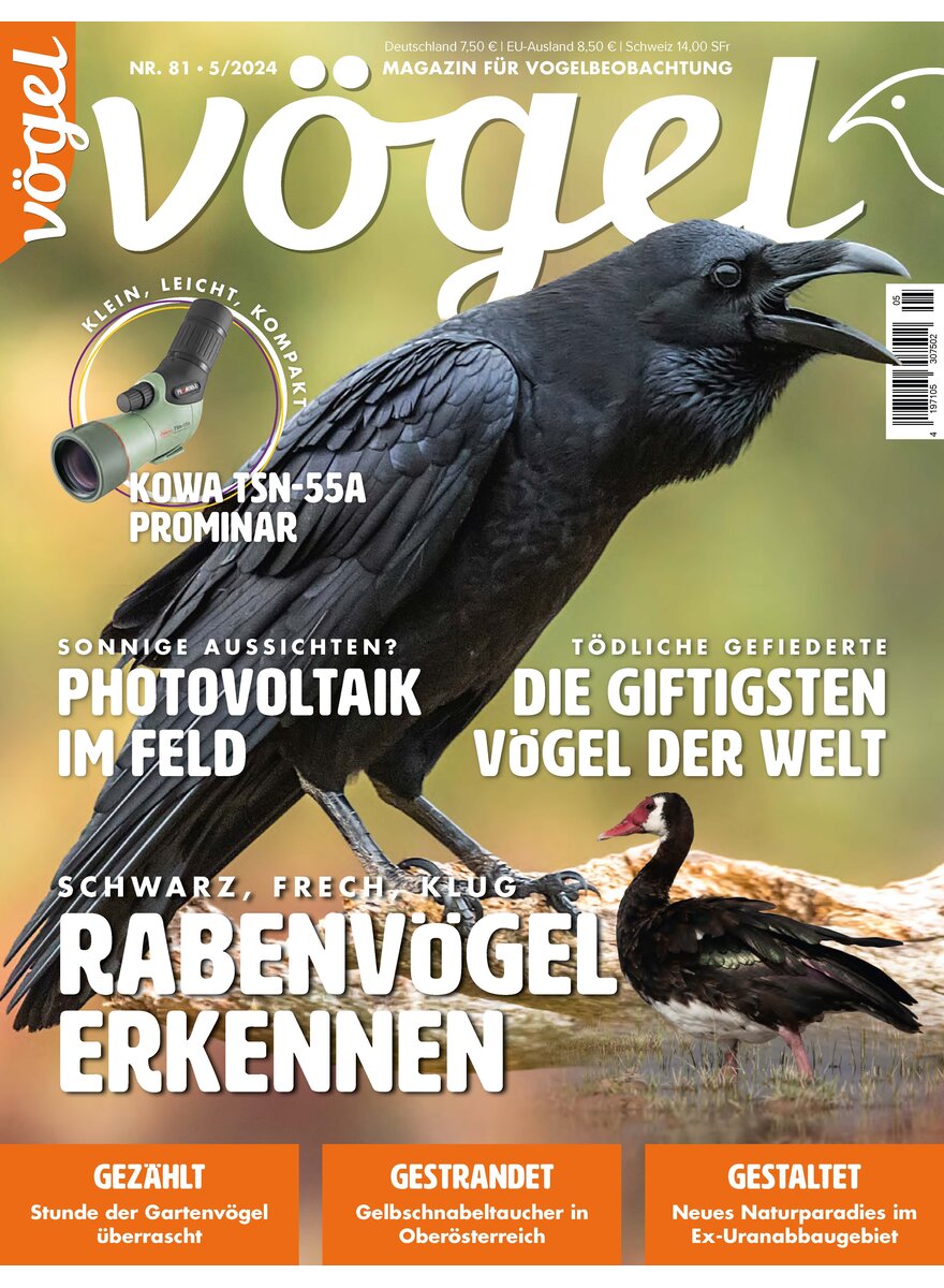 Auf diesem Bild sehen Sie das Produktbild 1 fr VGEL AUSGABE 5-2024