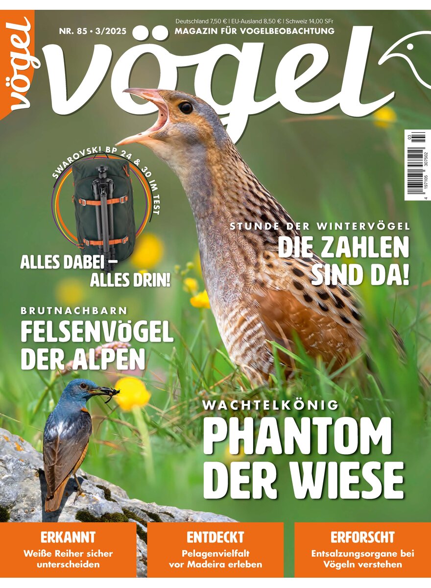 Auf diesem Bild sehen Sie das Produktbild 1 fr VGEL AUSGABE 3-2025