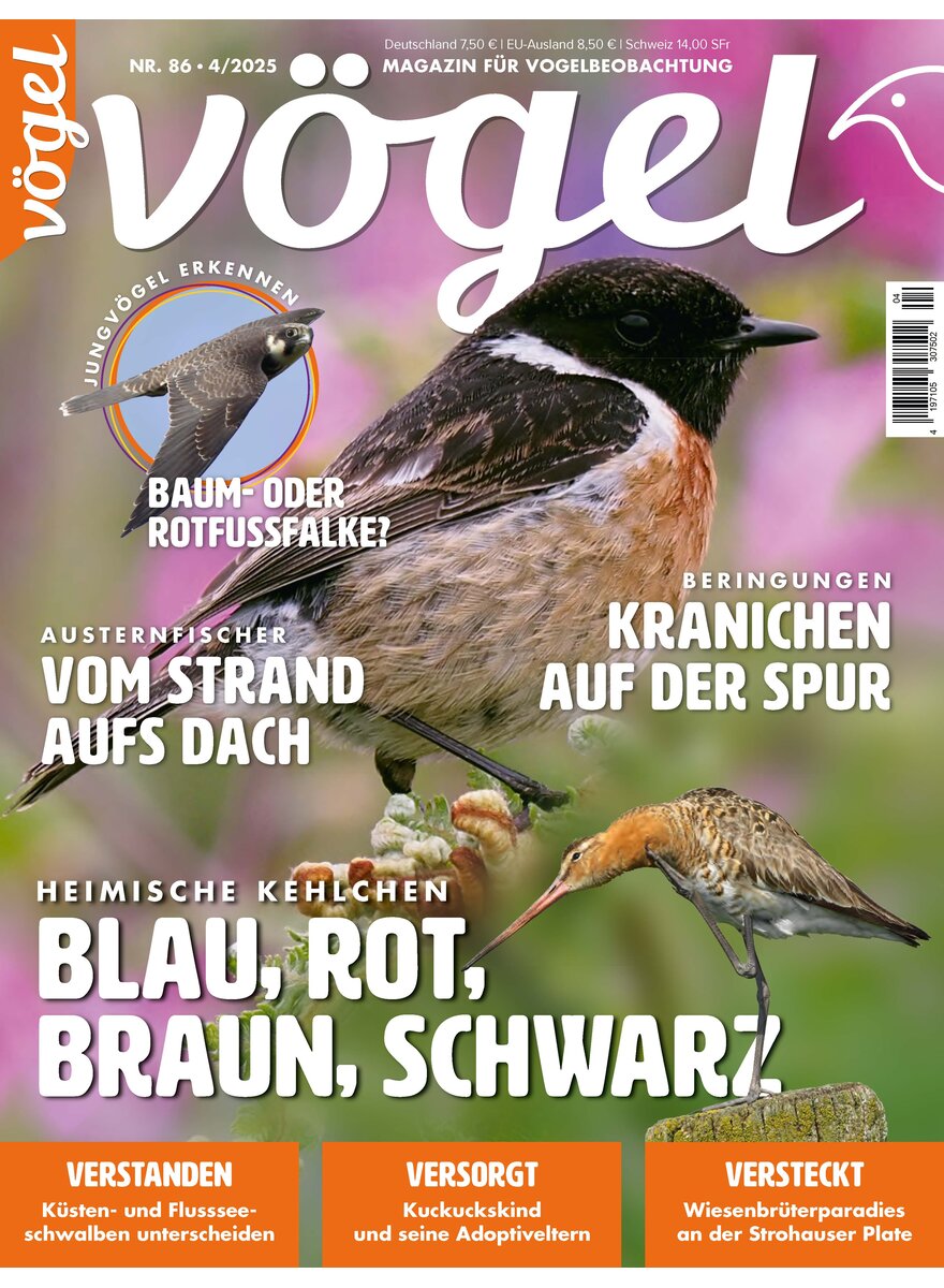 Auf diesem Bild sehen Sie das Produktbild 1 fr VGEL AUSGABE 4-2025