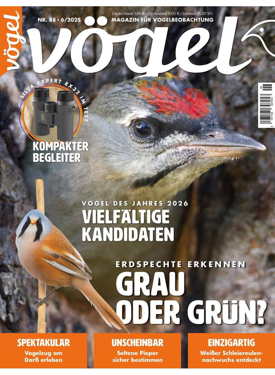 Auf diesem Bild sehen Sie das Produktbild 1 fr VGEL AUSGABE 6-2025