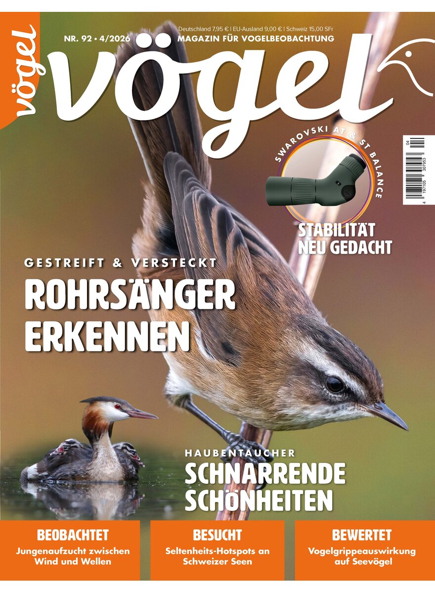 Auf diesem Bild sehen Sie das Produktbild 1 f�r V�GEL AUSGABE 4-2026