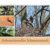 GRBEL/HORMANN, GEHEIMNISVOLLER SCHWARZSTORCH