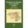 HBR BD 5/IIIB FROSCHLURCHEIIIB APART HANDBUCH DER REPTILIEN ANURA / RANIDAE II