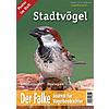 DER FALKE SONDERHEFT 2015 STADTVGEL