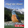 FALKE SONDERHEFT 2022 VGEL DER ALPEN