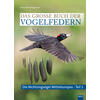 BERGMANN, DAS GROSSE BUCH DER VOGELFEDERN-NICHT SINGVGEL MITTELEUROPAS 1