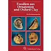 MARTILL/HUDSON, FOSSILIEN AUS ORNATENTON UND OXFORD CLAY