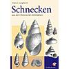 JUNGHEIM, SCHNECKEN AUS DEM RHEINISCHEN MITTELDEVON