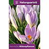 NATURQUARTETT BLTENPFLANZEN