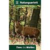 QUARTETT TIERE DES WALDES