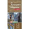 BESTIMMUNGSKARTE-DIE KNOSPEN HEIMISCHER UND KULTIVIERTER LAUBGEHLZE IM VERGLEICH