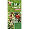 DIE FRCHTE HEIMISCHER UND KULTIVIERTER LAUBGEHLZE IM VERGL./BESTIMMUNGSK. 10ER SET