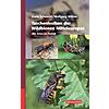 SCHEUCHL/WILLNER, TASCHENLEXIKON DER WILDBIENEN MITTELEUROPAS   1.AUFLAGE 2016
