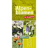 ALPENBLUMEN IN VERGLEICH BESTIMMUNGSKARTE - 10ER SET
