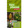 FARNPFLANZEN IM VERGLEICH BESTIMMUNGSKARTEN 10ER SET