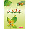 SCHMITZ/JUNG, SCHADBILDER AN BUCHENBLTTERN