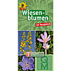 WIESENBLUMEN IM VERGLEICH BESTIMMUNGSKARTE 10er SET