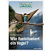 BERGMANN, DAS WILL ICH WISSEN! WIE FUNKTIONIERT EIN VOGEL?