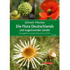 SCHMEIL/FITSCHEN, DIE FLORA DEUTSCHLANDS UND ANGRENZENDER LNDER    98. AUFLAGE 2024