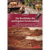 ROHE, DIE BRUTBILDER DER WICHTIGSTEN FORSTINSEKTEN  2. AUFLAGE 2023
