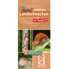 LANDSCHNECKEN IM VERGLEICH BESTIMMUNGSKARTE