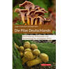 GUTHMANN/HAHN, DIE PILZE DEUTSCHLANDS 3. AUFLAGE 2026