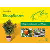 BELTZ, ZITRUSPFLANZEN 2. AUFLAGE 2025