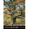 WANDKALENDER CHARAKTER-BUME 2026