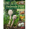 GUTHMANN, HEILENDE PILZE WELTWEIT