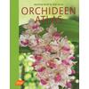 ORCHIDEEN-ATLAS - WOLFF/GRUSS