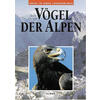 BRENDEL, VGEL DER ALPEN