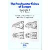 BANARESCU, CYPRINIDAE (M) 5/II THE FRESHWATER FISHES OF EUROPE (315-01022)